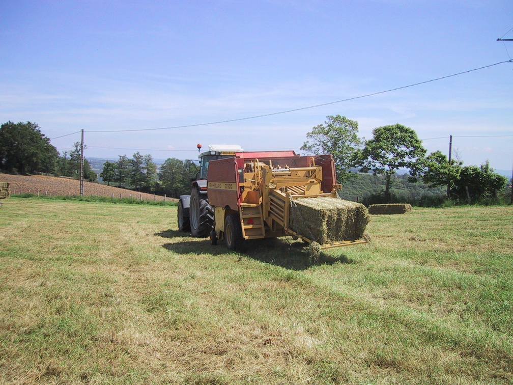 img_0236 img_0236.jpg