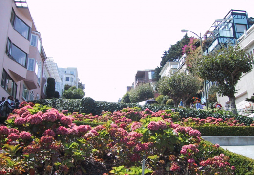 Lombard Street (vue du bas)