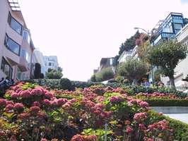 Lombard Street (vue du bas)
