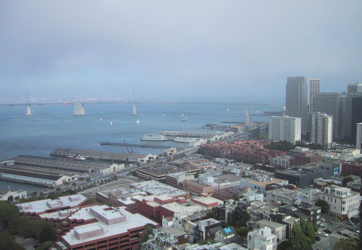 La baie et leport depuis le haut de la Coit Tower