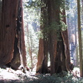img_0593.jpg