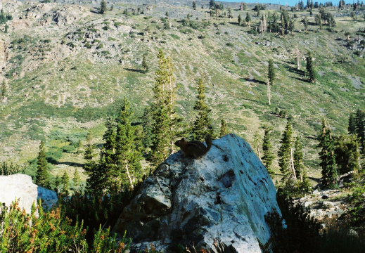 Près d'Half-Moon Lake