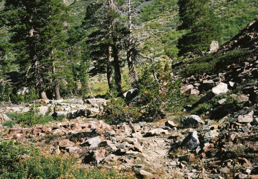 Ascension du Mount Tallac