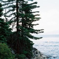 f1020037.jpg