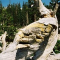 f1020011.jpg