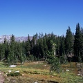 img010.jpg