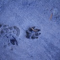 img015.jpg
