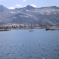 img_1397.jpg