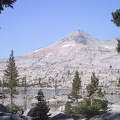 img_1423.jpg