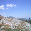 img_1434.jpg