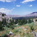 img029.jpg
