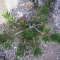 img036.jpg