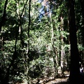 img038.jpg
