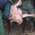 20030228_092214.jpg
