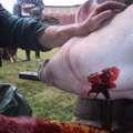 20030228_092420.jpg