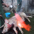 20030228_092821.jpg
