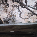 20030228_094834.jpg