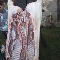 20030228_102052.jpg