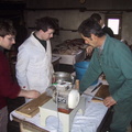 20030228_113824.jpg
