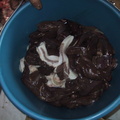 20030228_113841.jpg