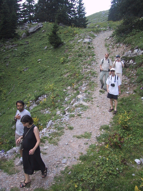 img_1826 img_1826.jpg