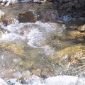 img_1834.jpg