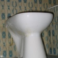 img_2368.jpg