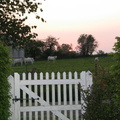 img_2606.jpg