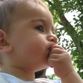 img_2684.jpg