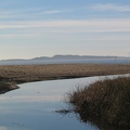 3191_img.jpg