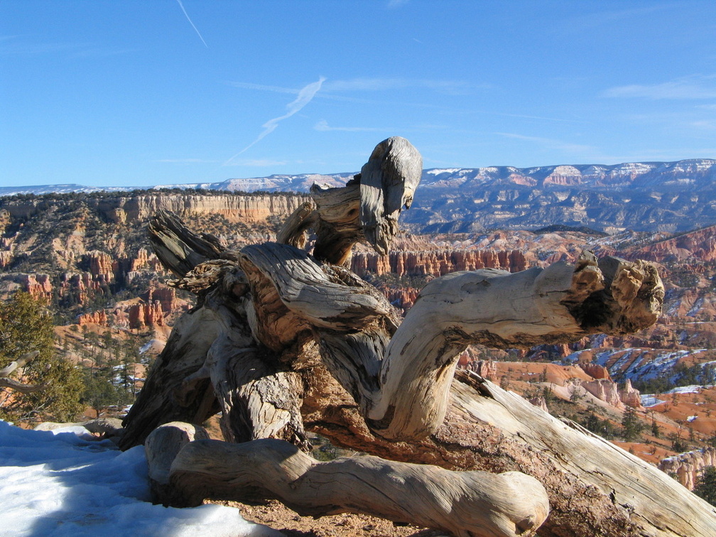 3290 img 3290_img.jpg