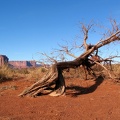 3673_img_c.jpg