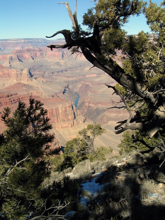 3953 img 3953_img.jpg