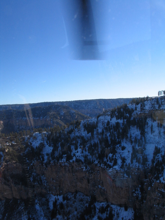 3911 img 3911_img.jpg