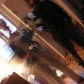 pict0004.jpg