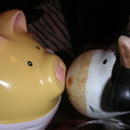 pict0041.jpg