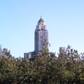 4678_img.jpg