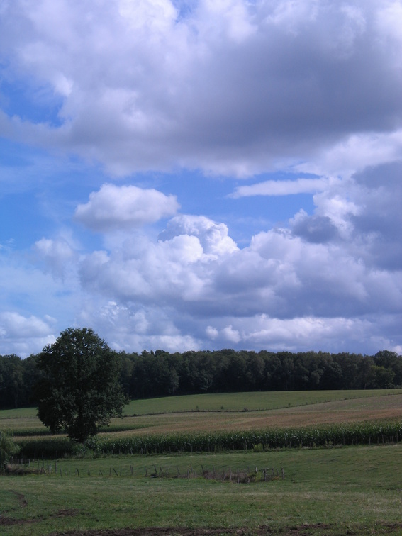 5071 img 5071_img.jpg