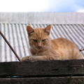 5112_img.jpg
