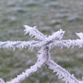 5220_img.jpg