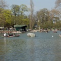 imgp0416.jpg