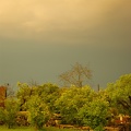 imgp0816.jpg