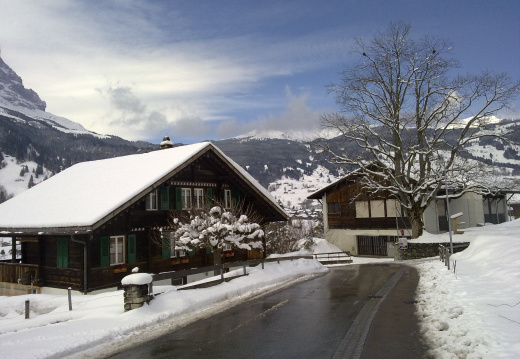 Grindelwald-2009-03-26-105703.jpg
