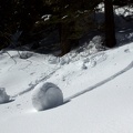 Grindelwald-2009-03-27-114755.jpg