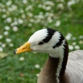 imgp3730.jpg