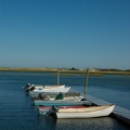 imgp4779.jpg