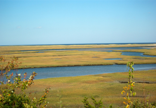 Nauset Marsh