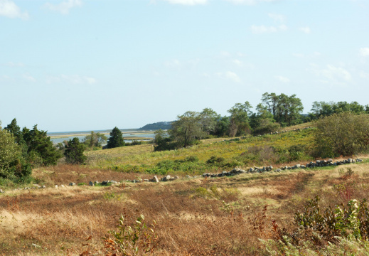 skiff Hill, Nauset Marsh