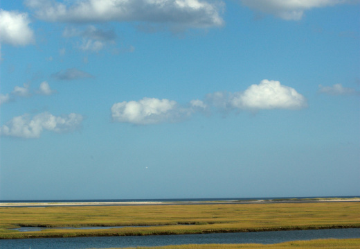 Nauset Marsh