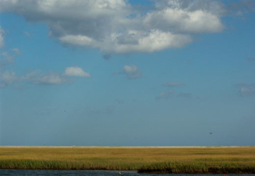 Nauset Marsh